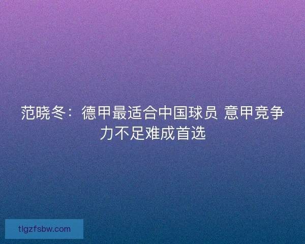 范晓冬：德甲最适合中国球员 意甲竞争力不足难成首选