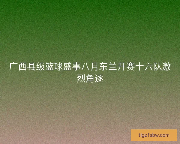 广西县级篮球盛事八月东兰开赛十六队激烈角逐