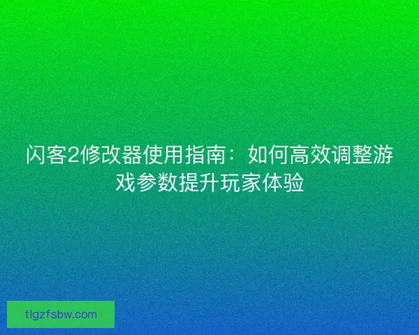 闪客2修改器使用指南：如何高效调整游戏参数提升玩家体验