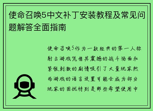 使命召唤5中文补丁安装教程及常见问题解答全面指南